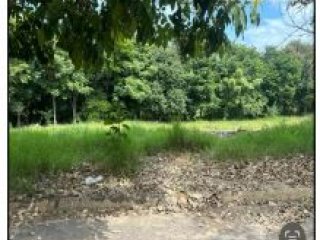 Imagem do imóvel TE40610