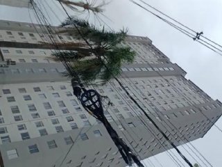 Imagem do imóvel AP98166