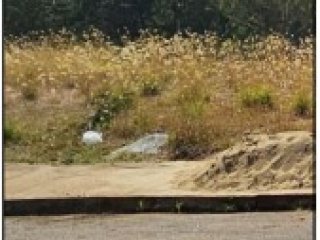 Imagem do imóvel TE87528