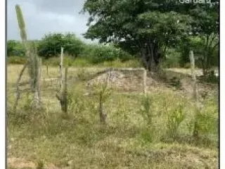 Imagem do imóvel AP08685